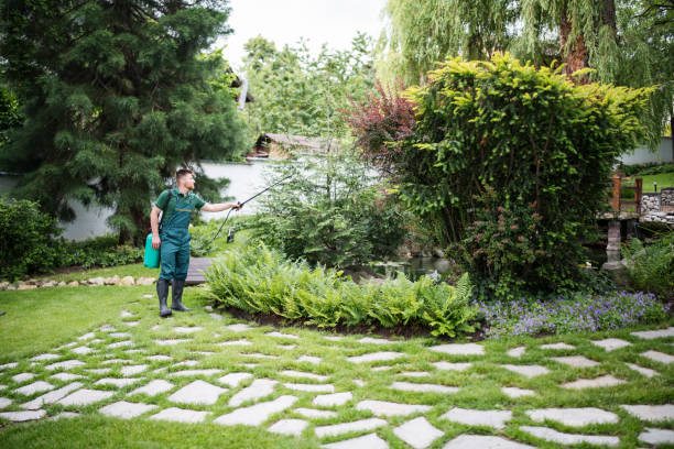 Best Pest Inspection Near Me  in Dunean, SC