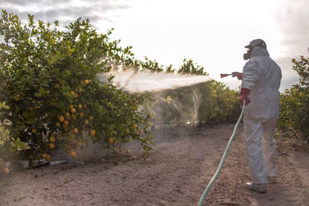 Best Best Pest Control Companies  in Dunean, SC